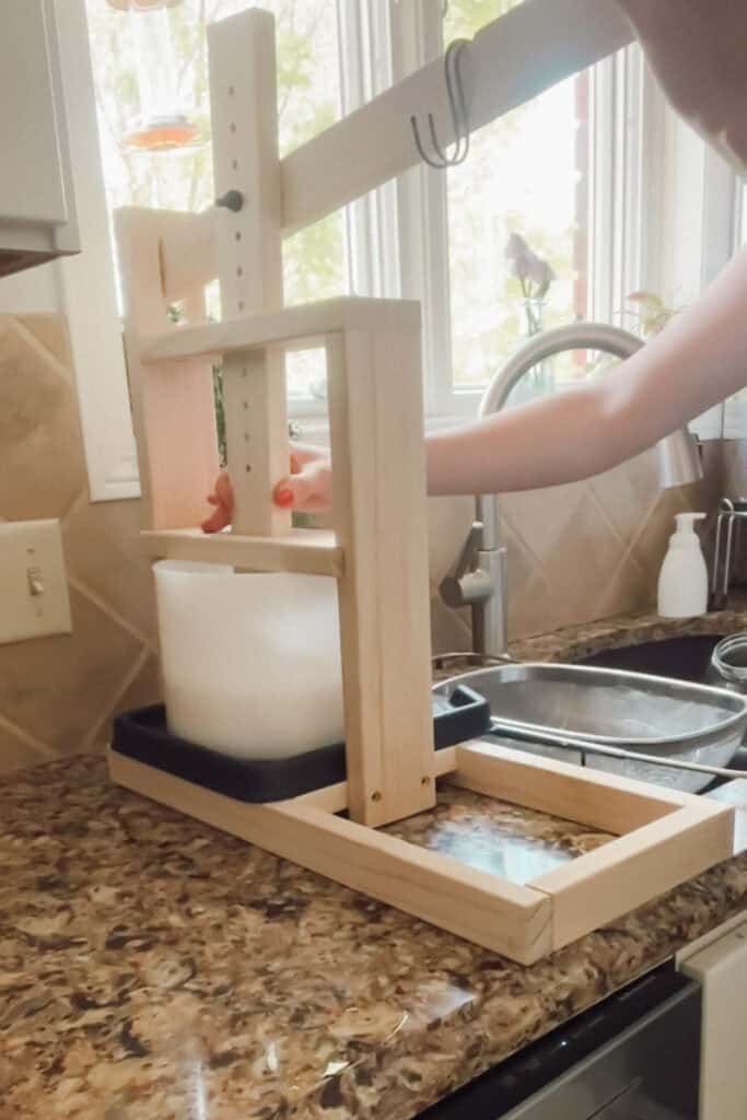 Cheese wheel being pressed.