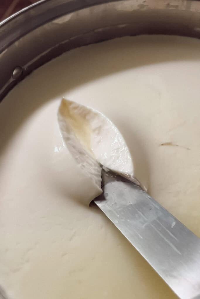 Checking  cheese curds for a clean break.