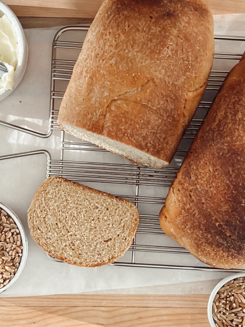 Two loves of whole wheat sandwich bread, top view, one sliced, one whole with butter.