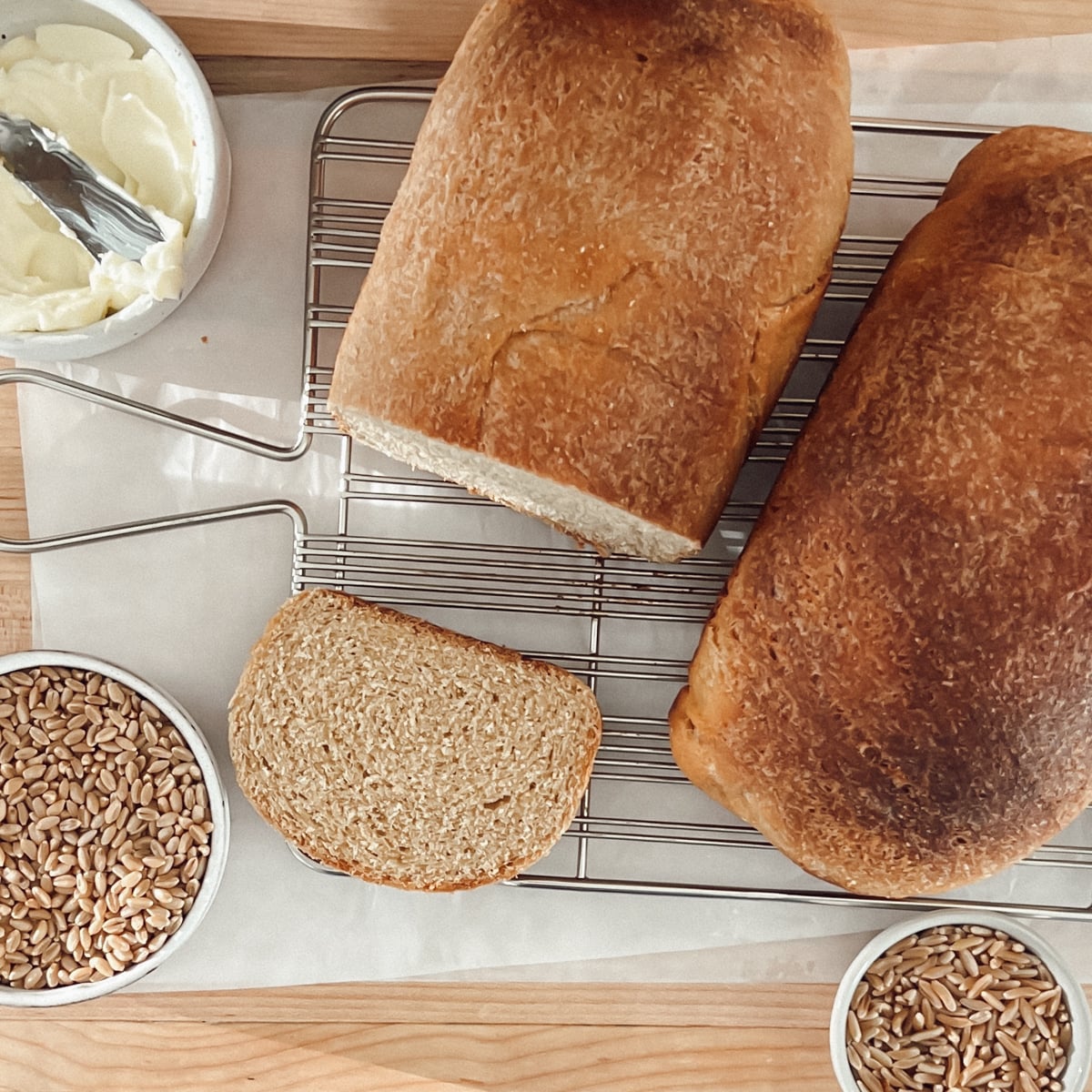 Whole Wheat Sandwich Bread (Fresh Milled Flour Recipe)