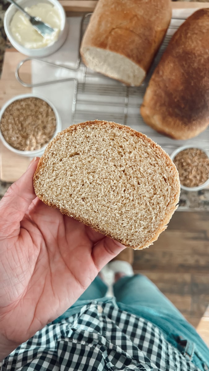 Holding a slice of whole wheat sandwich bread to show the detail of the crumb.