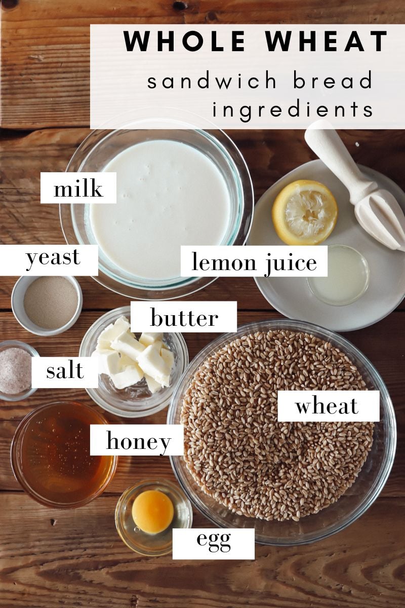Ingredients for fresh milled sandwich bread, top view, in prep bowls.