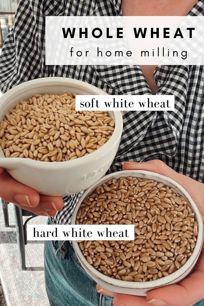 Two bowls of wheat berries filled with hard white wheat and soft white wheat berries.