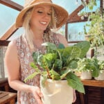 Woman holding fresh greens in a greenhouse while learning how to start homesteading at home.