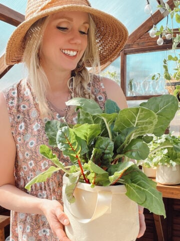 Woman holding fresh greens in a greenhouse while learning how to start homesteading at home.