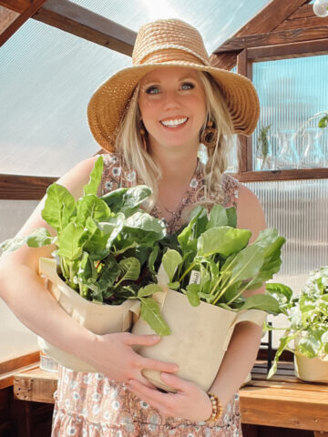 Meg Austin from Ninnescah Homestead holding fresh greens in a greenhouse while learning how to start homesteading at home.