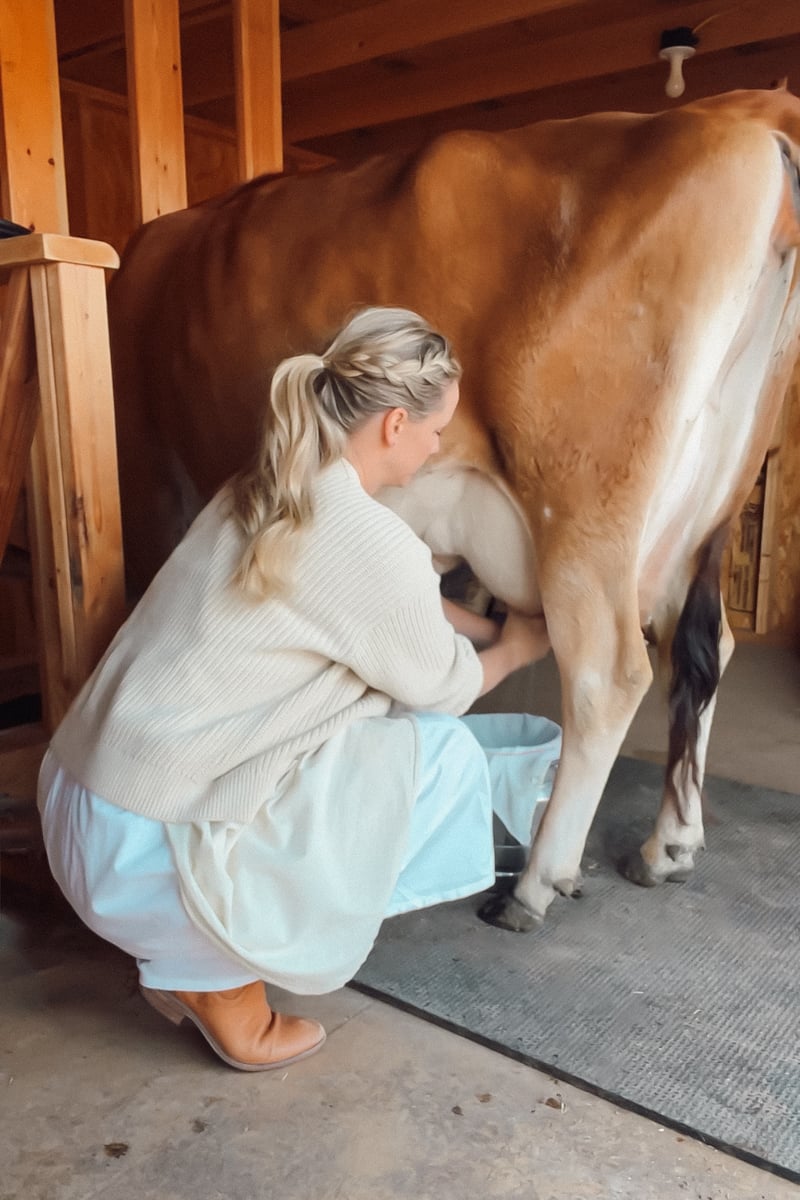 Megan Austin from Ninnescah Made milking her jersey cow in a barn.