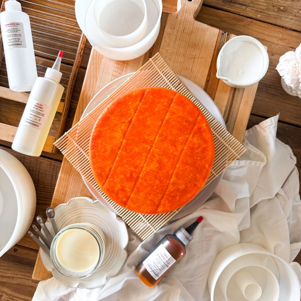 Beginner cheesemaking equipment including a homemade Colby cheese wheel, rennet, annatto, cheese molds, cultures, and curd cutting tools.