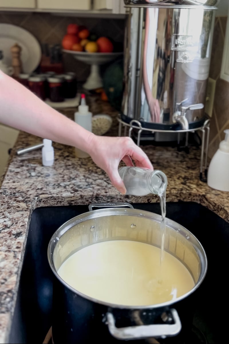 Pouring diluted rennet into cultured milk for homemade cheddar cheese curds.