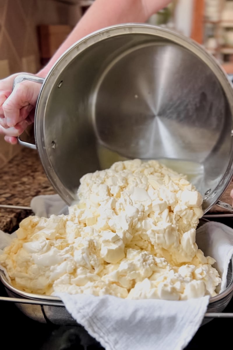 Draining cheese curds into a colander lined with a cheesecloth.