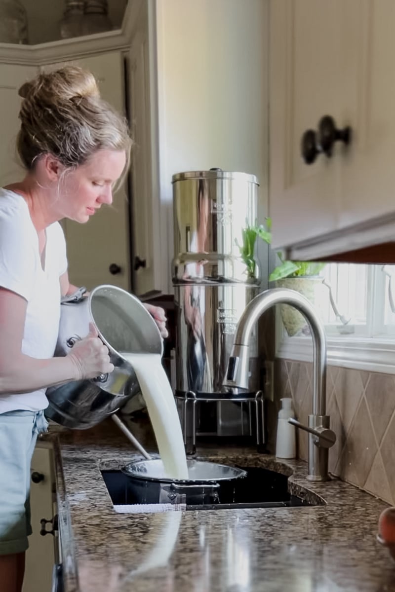 Pouring fresh raw milk into a large pot for homemade cheddar cheese curds.